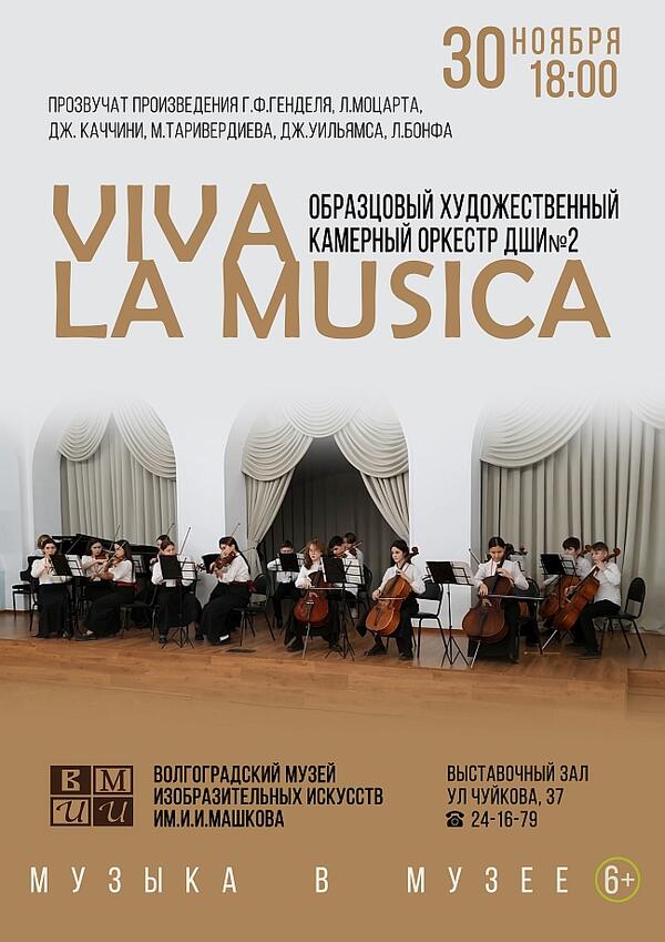 Образцовый художественный камерный оркестр «Viva la Musica» ДШИ№2